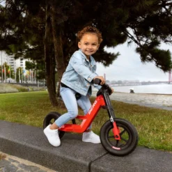 BERG Biky Mini Red Loopfiets 10 ” Inch EVA Banden 17 BERG Biky Mini Red Loopfiets 10 ” Inch EVA Banden -Exporteren Step Avontuur Winkel preview 8715839077742 BERG Biky Mini red M1