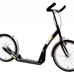 Step Bike2Go
