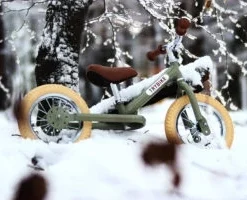 Trybike Steel Green 2in1 Loopfiets Vintage Groen -Exporteren Step Avontuur Winkel trybike vintage green 2